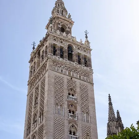 Alfalfa Sweet Apartment Seville